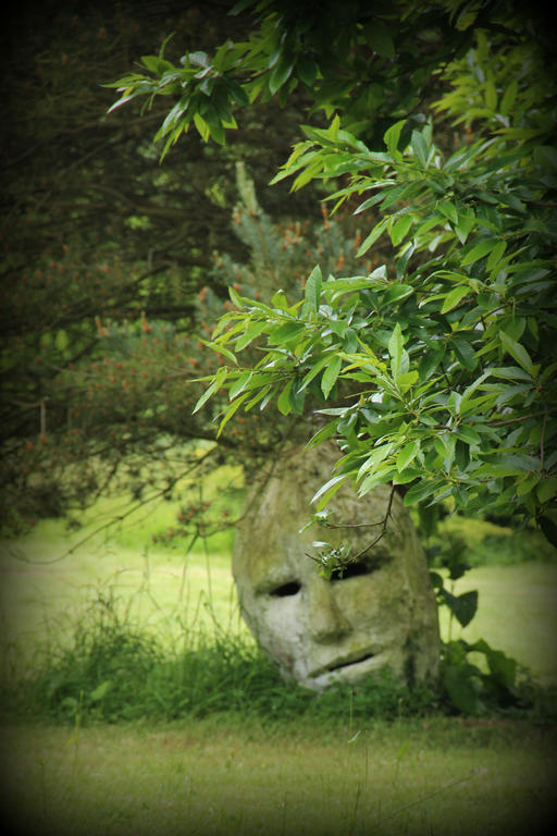 Fleury Montmoy Trans La Foret ภายนอก รูปภาพ